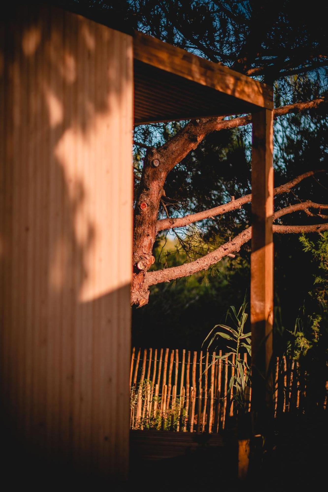 Salines Hotel Hyeres Luaran gambar